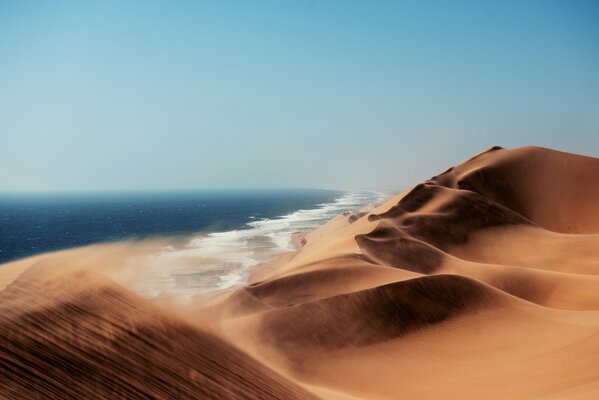 L océan baigne les dunes du désert du Kalahari