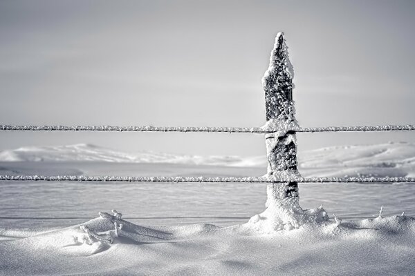 Фото столбик снег забор