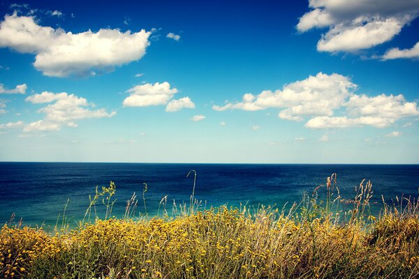 Spiaggia vicino al mare. Bella vista