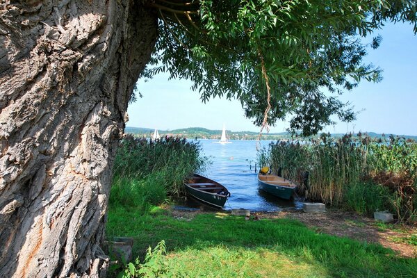 Widok na rzekę z łodziami i drzewem