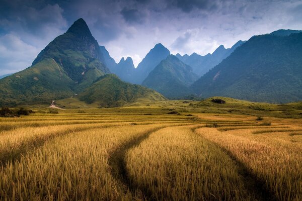 Un enorme campo sullo sfondo delle montagne