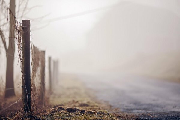 The road along the fence in the fog