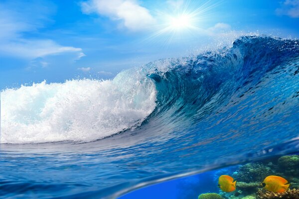 Hautes vagues de l océan avec de la mousse