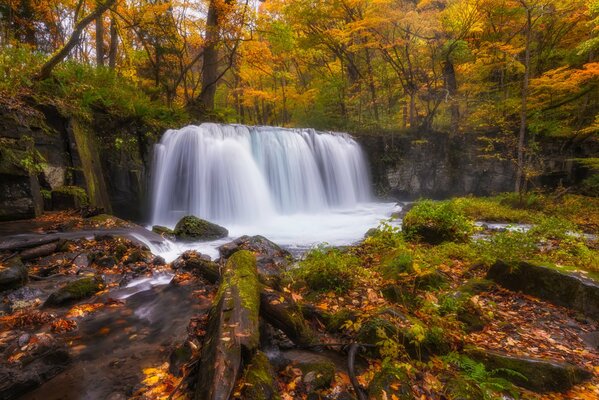 Cascada de bosque de otoño que desemboca en el río