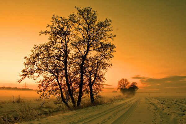 Winter snow road at sunset