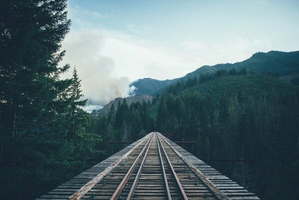 Vecchia ferrovia che porta alla foresta