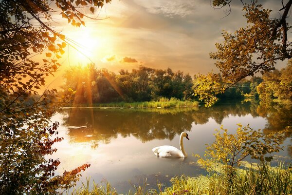 Passeggiata autunnale nel parco in tutta la sua gloria