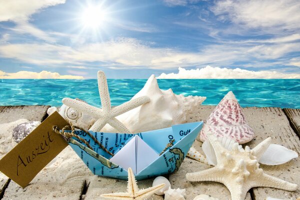 Muscheln und Seesterne am sonnigen Strand