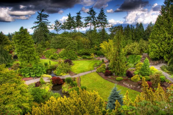 Alberi ornamentali e prati in giardino