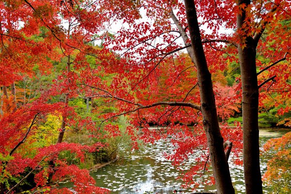 Landscape for autumn nature near podoem