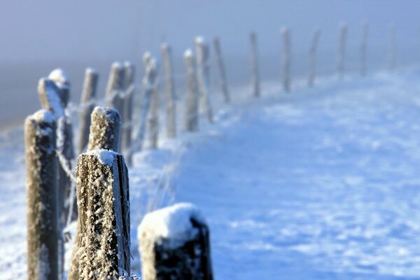 Fence in winter in a snowy fog