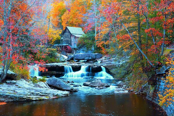 Colorful autumn in the village. Water and mini waterfalls