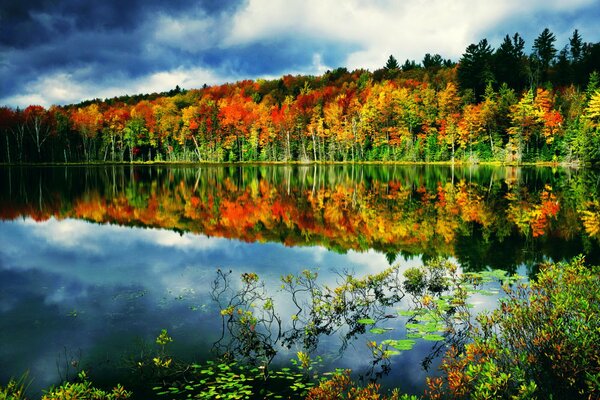 Lago de otoño bajo el sol