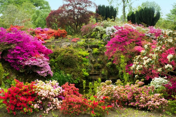 Un Jardín de paisajes cubiertos de musgo y flores en Gales