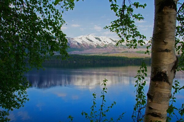 Naturaleza del lago, en la distancia montañas blancas como la nieve