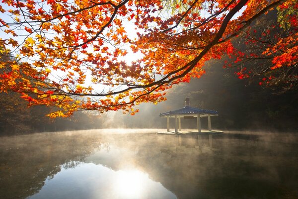 Gazebo on the lake in the dawn rays of the sun