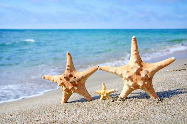 Trois étoiles incroyables au bord de la mer