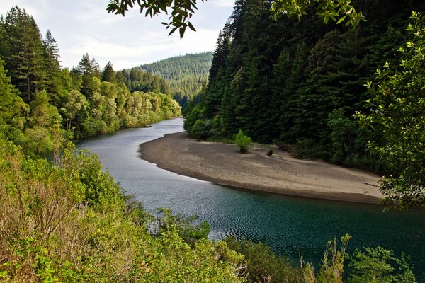 Río de montaña en el bosque