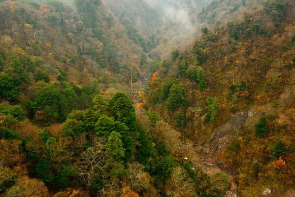 Bosque de otoño, montañas y laderas