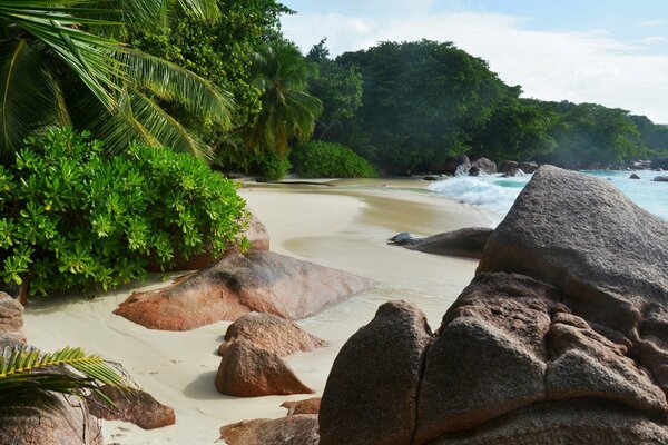 Tropischer Sandstrand und Meer