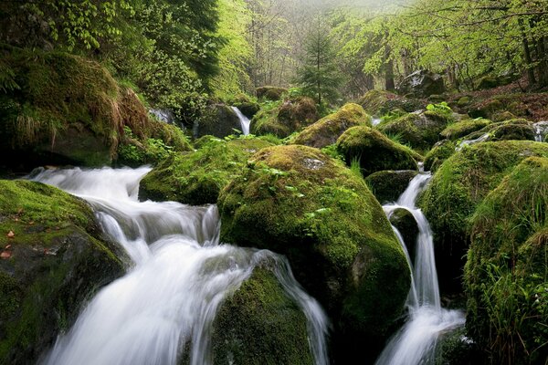 Die Schönheit des Flussflusses, der Fluss von der Piste