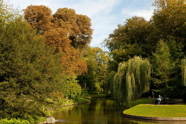 Teich unter Bäumen im botanischen Garten