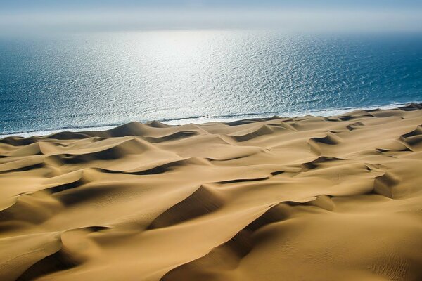 The sand dunes on the seashore are magnificent