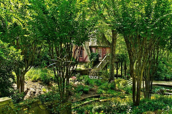 A house in the forest among the trees