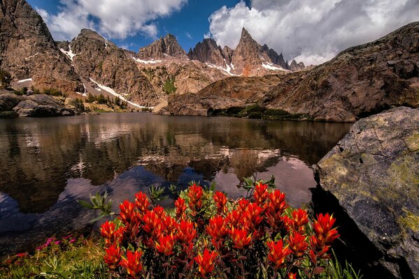 Ein Bergsee mit schönen Blumen