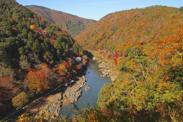 Осенняя, горная лесная река