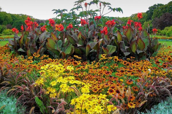 Schönes Blumenbeet mit unglaublichen Blumen