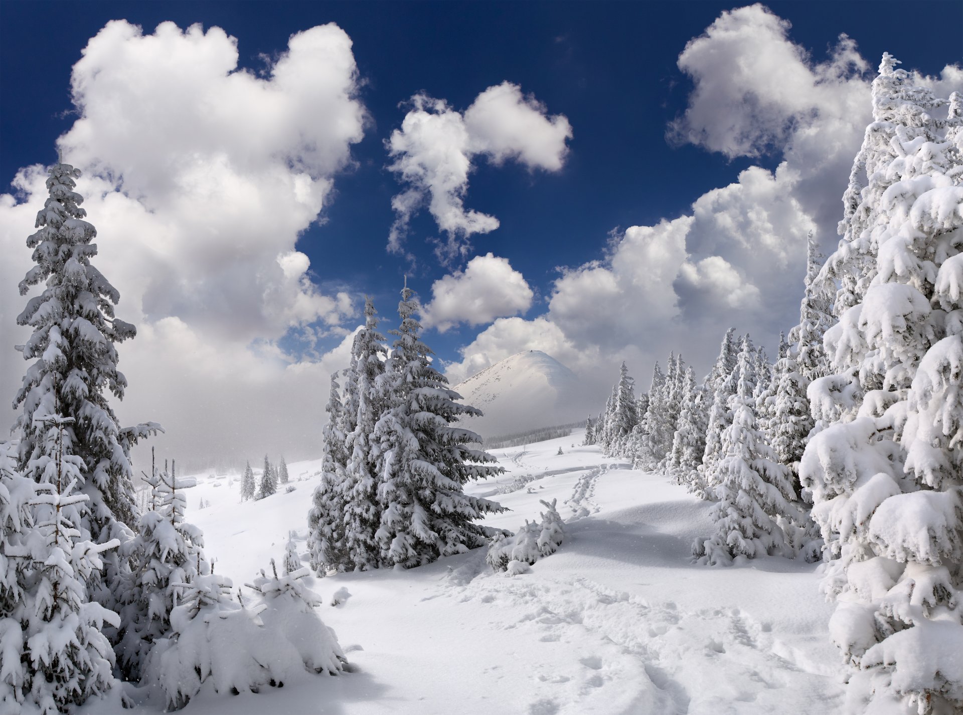 nature paysage hiver neige arbres montagnes forêt ciel nuages