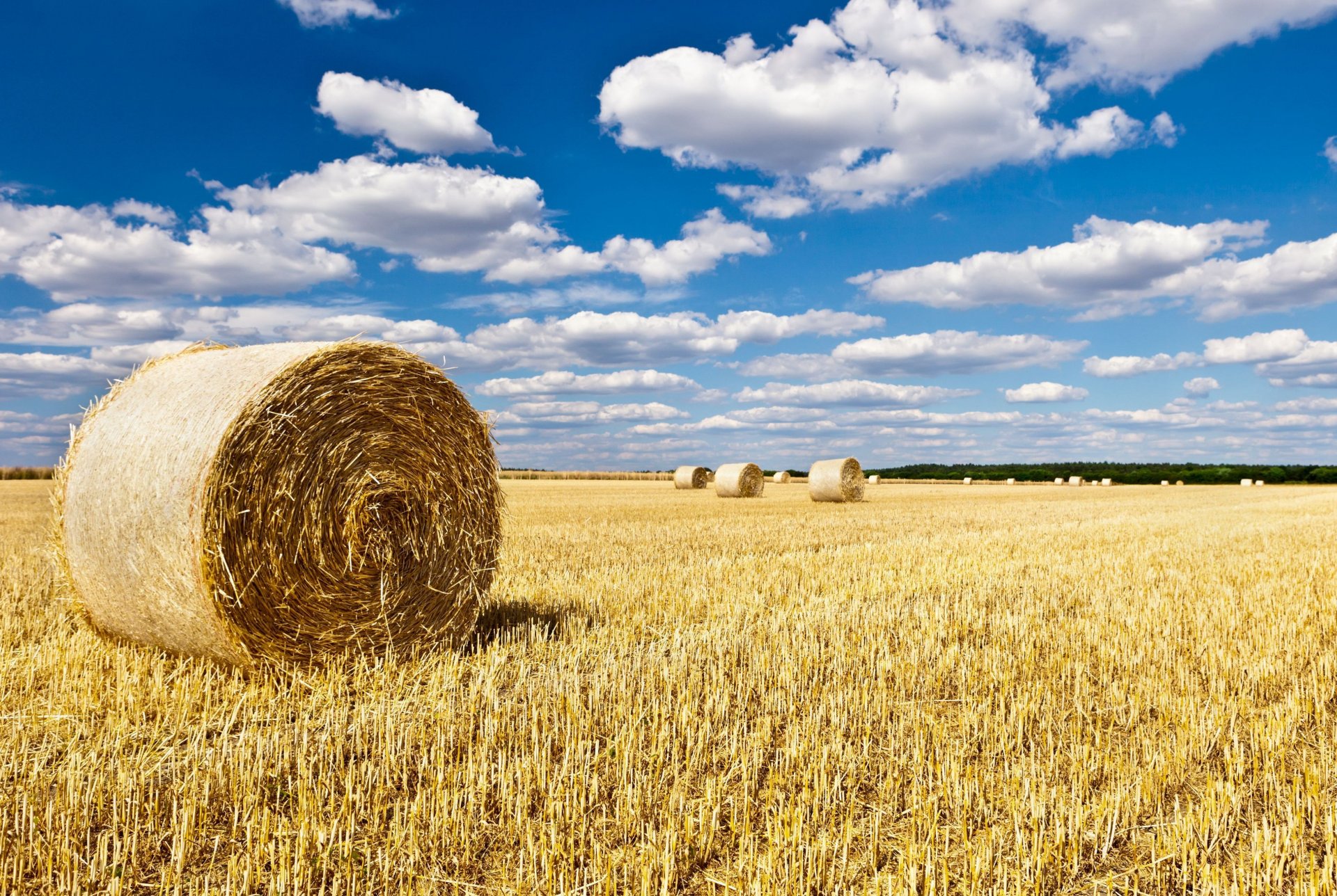 natura krajobraz pole pola stog siana siano niebo tło tapeta panoramiczny pełny ekran panoramiczny panoramiczny