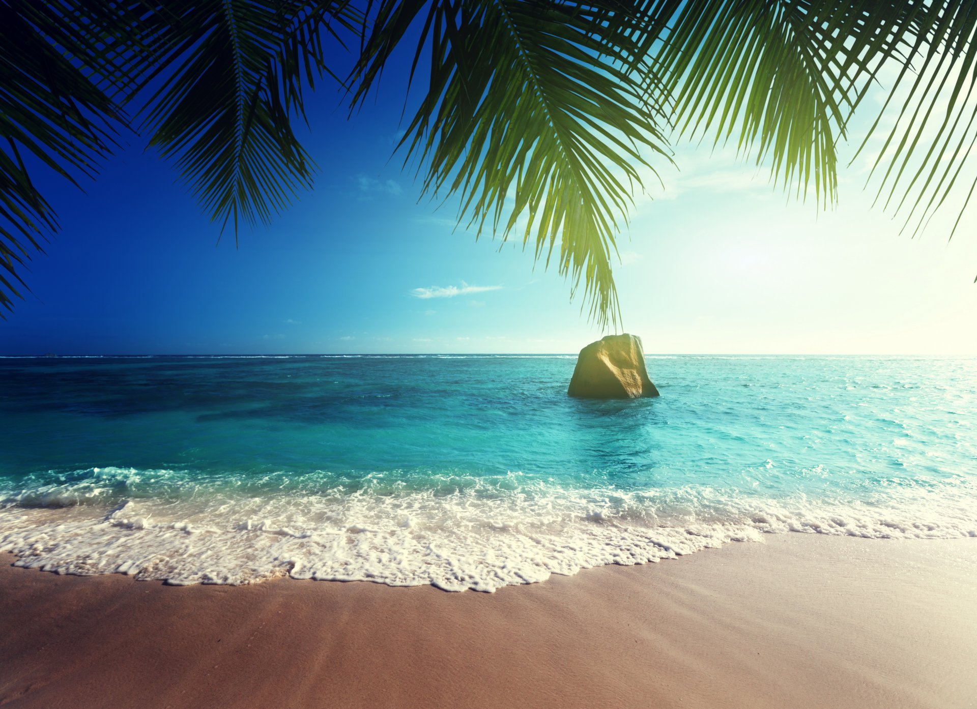 tropical paradise beach coast sea ocean palm summer tropics sand sun island shore