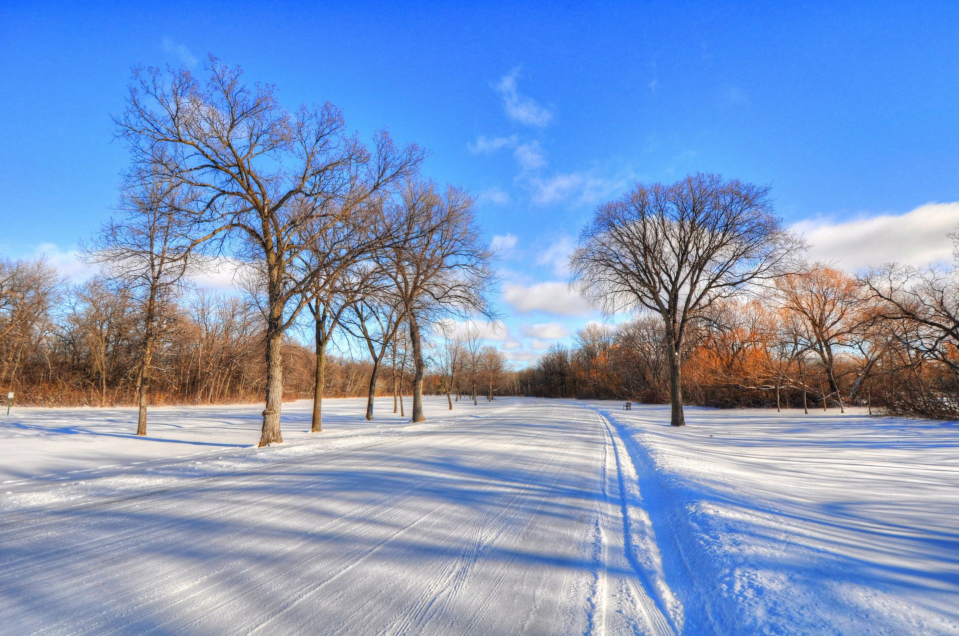 inverno neve strada cielo nuvole gelo alberi paesaggio