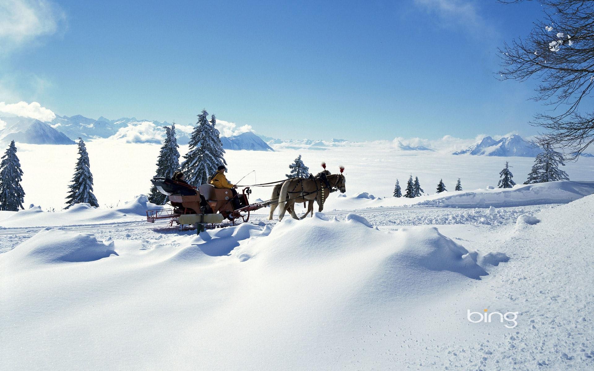 invierno nieve escarcha trineo caballos personas abeto árbol de navidad luz sol clima estado de ánimo cielo nubes montañas horizonte