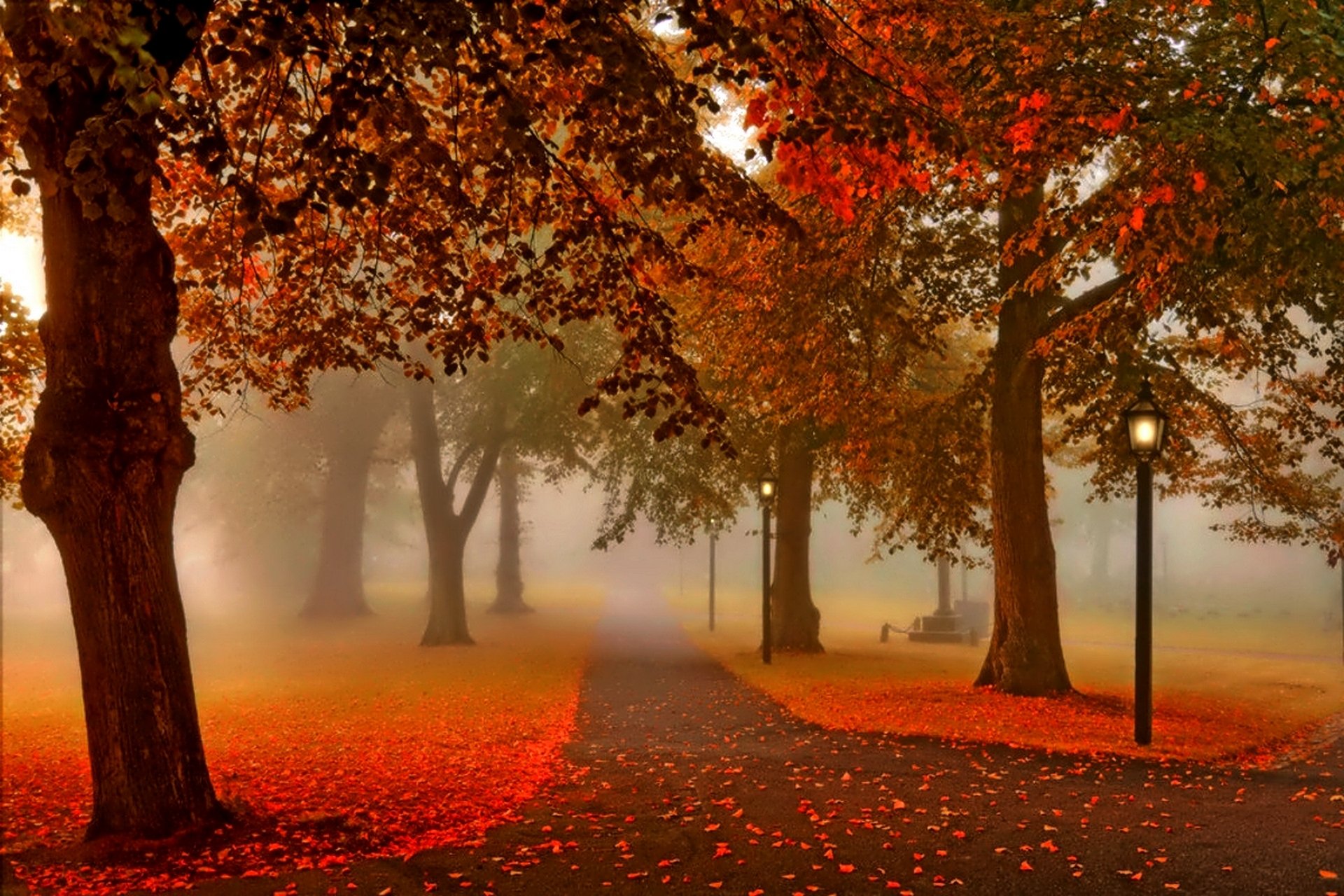 automne coucher de soleil lanterne nature parc arbres feuilles ruelle vue promenade alley lanternes