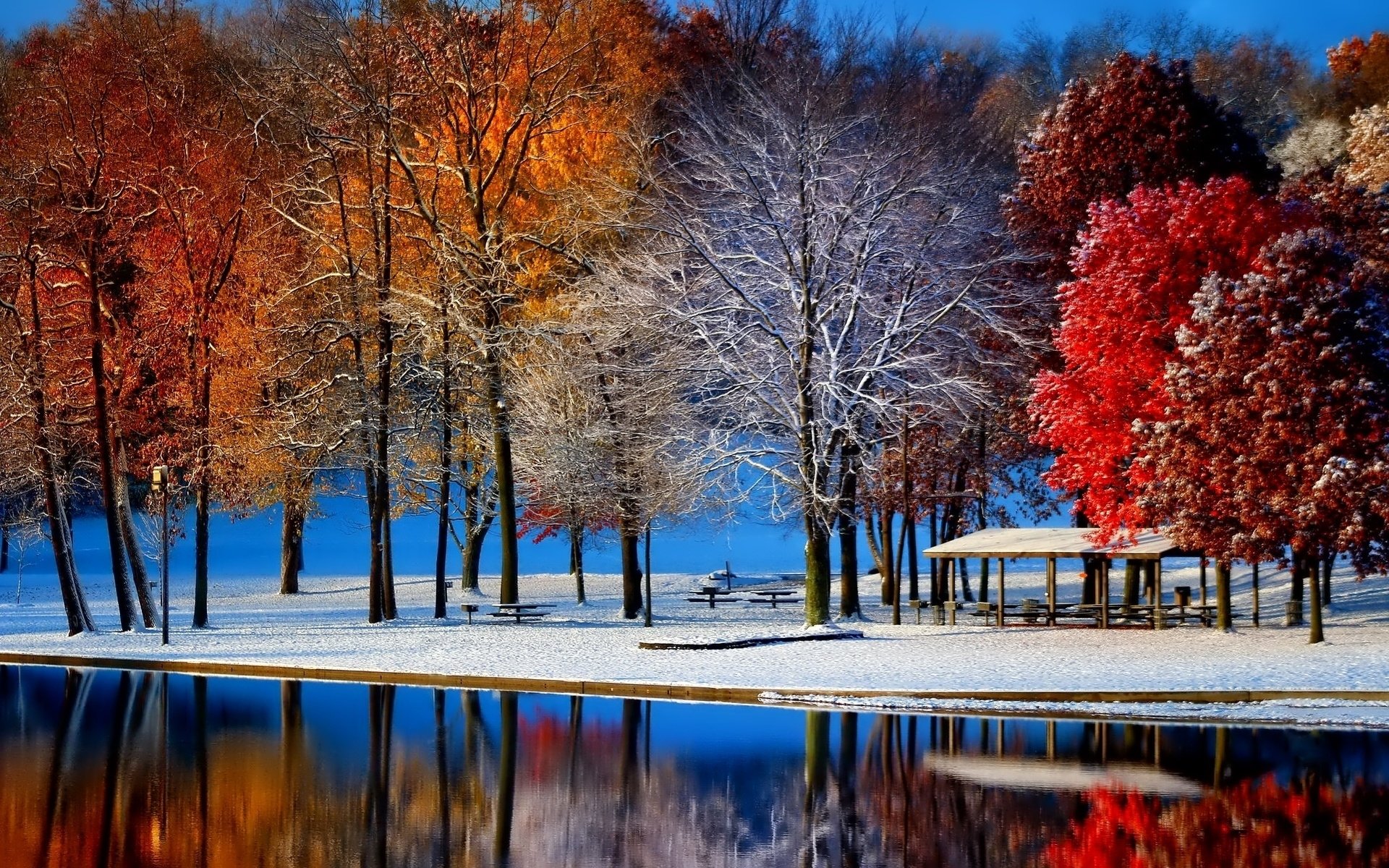 paesaggio inverno autunno alberi parco stagno acqua neve gelo foglie scarlatto