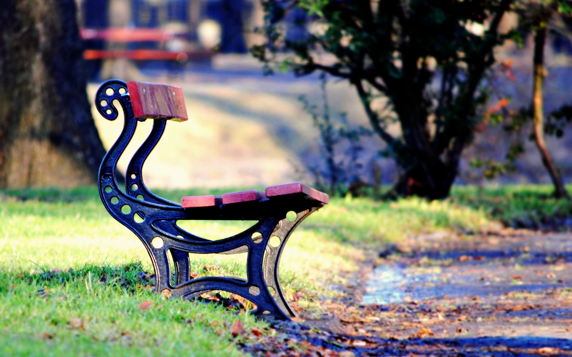 mood panchina panchina lava panchina parco piazza foglie caduta delle foglie erba verde sentiero autunno alberi albero fogliame sfondo carta da parati widescreen schermo intero widescreen widescreen