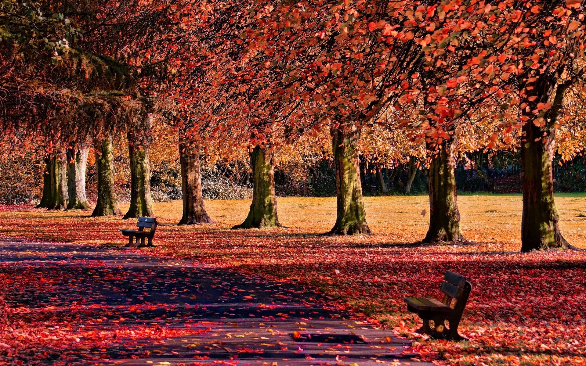 natur bänke herbst blätter laubfall bäume bank geschäft geschäft fußweg gehweg hintergrund tapete widescreen vollbild widescreen widescreen