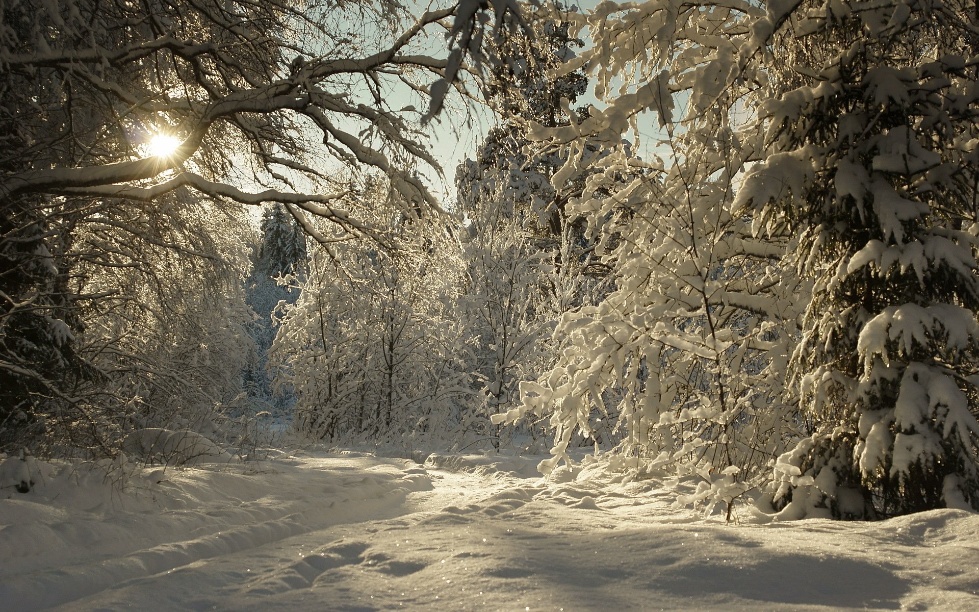 invierno nieve paisaje