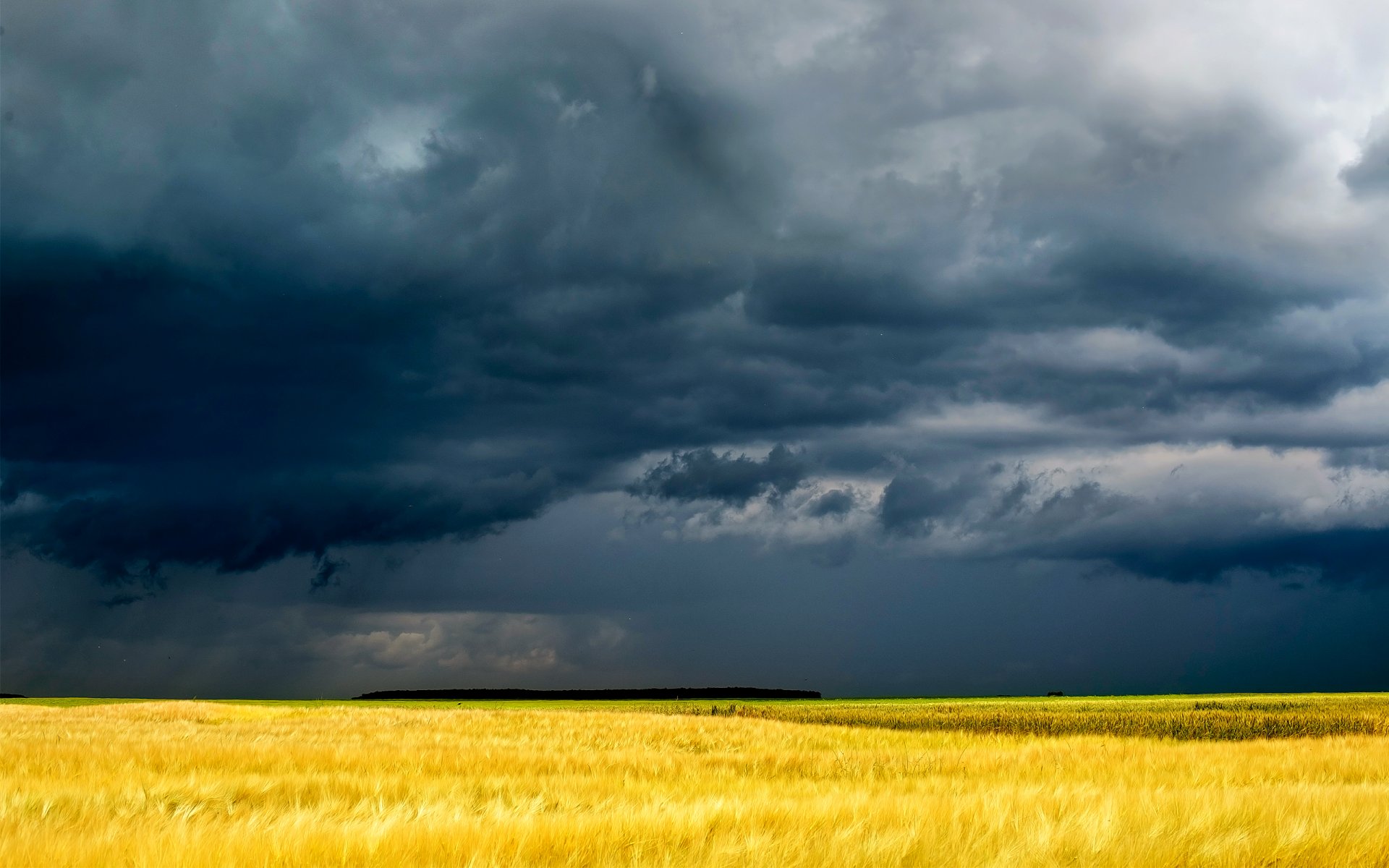 nubes campo amarillo sombrío hierba