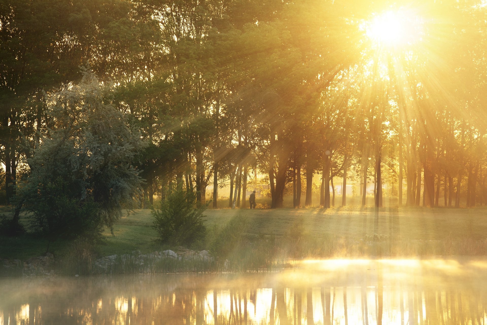 nature trees tree leaves leaves leaves foliage greenery man man sun rays river lake water background wallpaper widescreen fullscreen widescreen