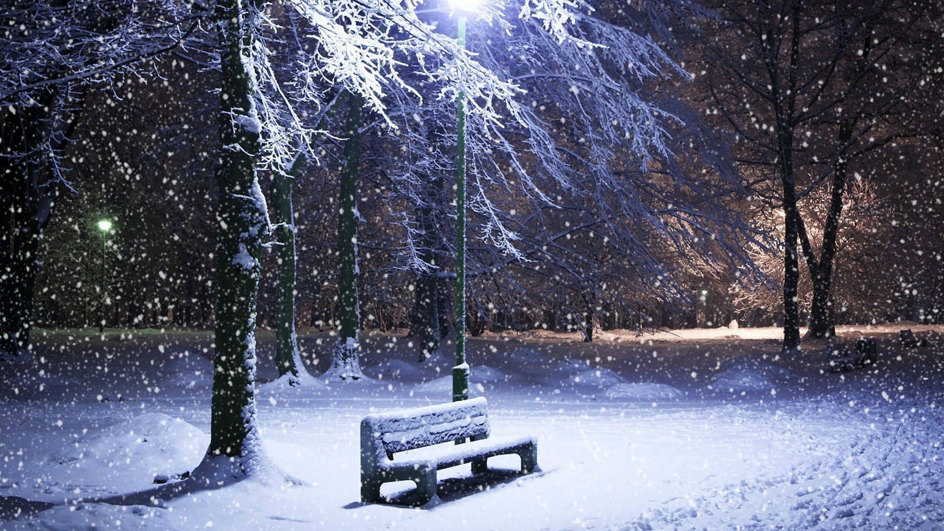 nature hiver il neige banc dérives