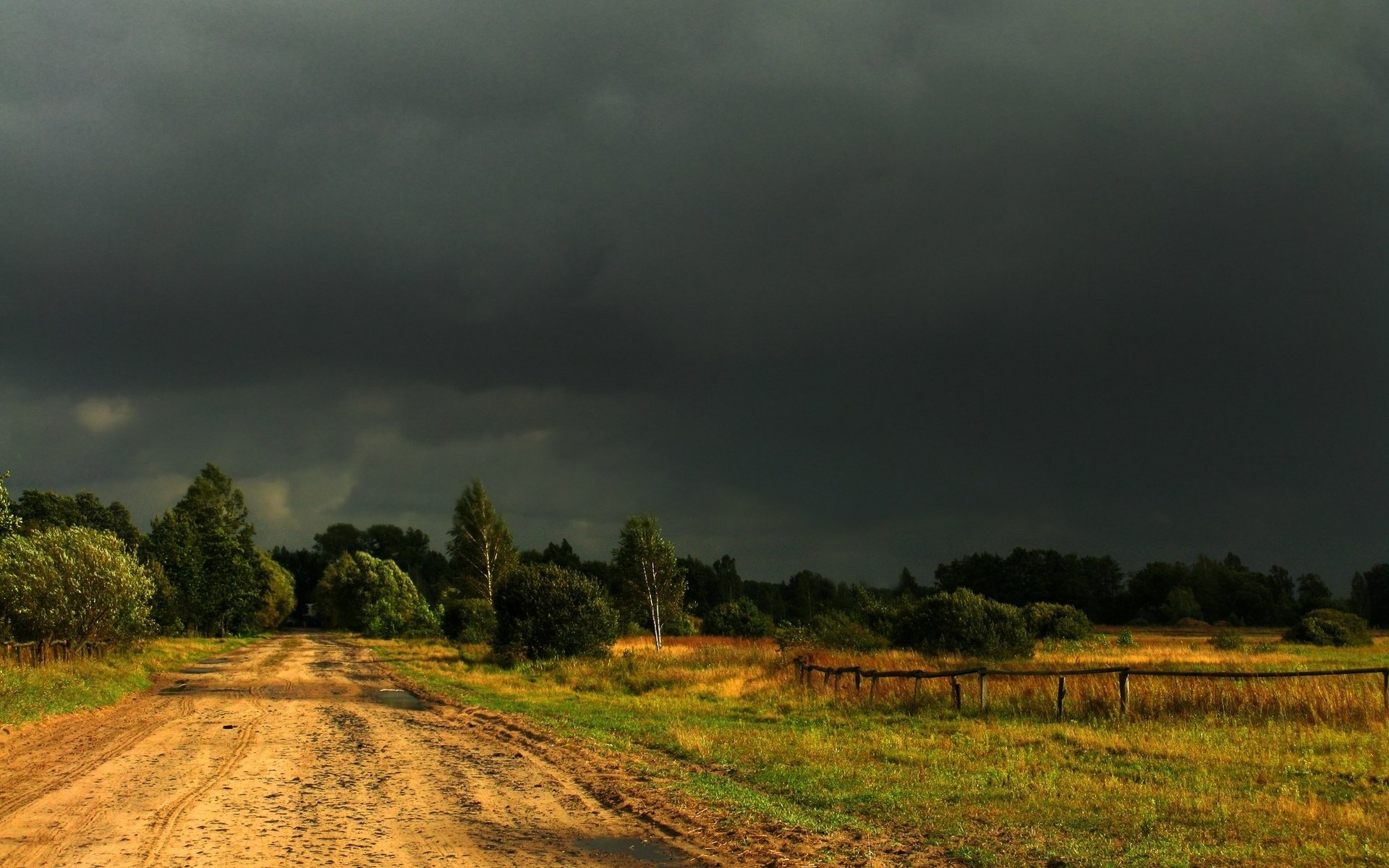 sommer feld wald bäume straße zaun himmel wolken