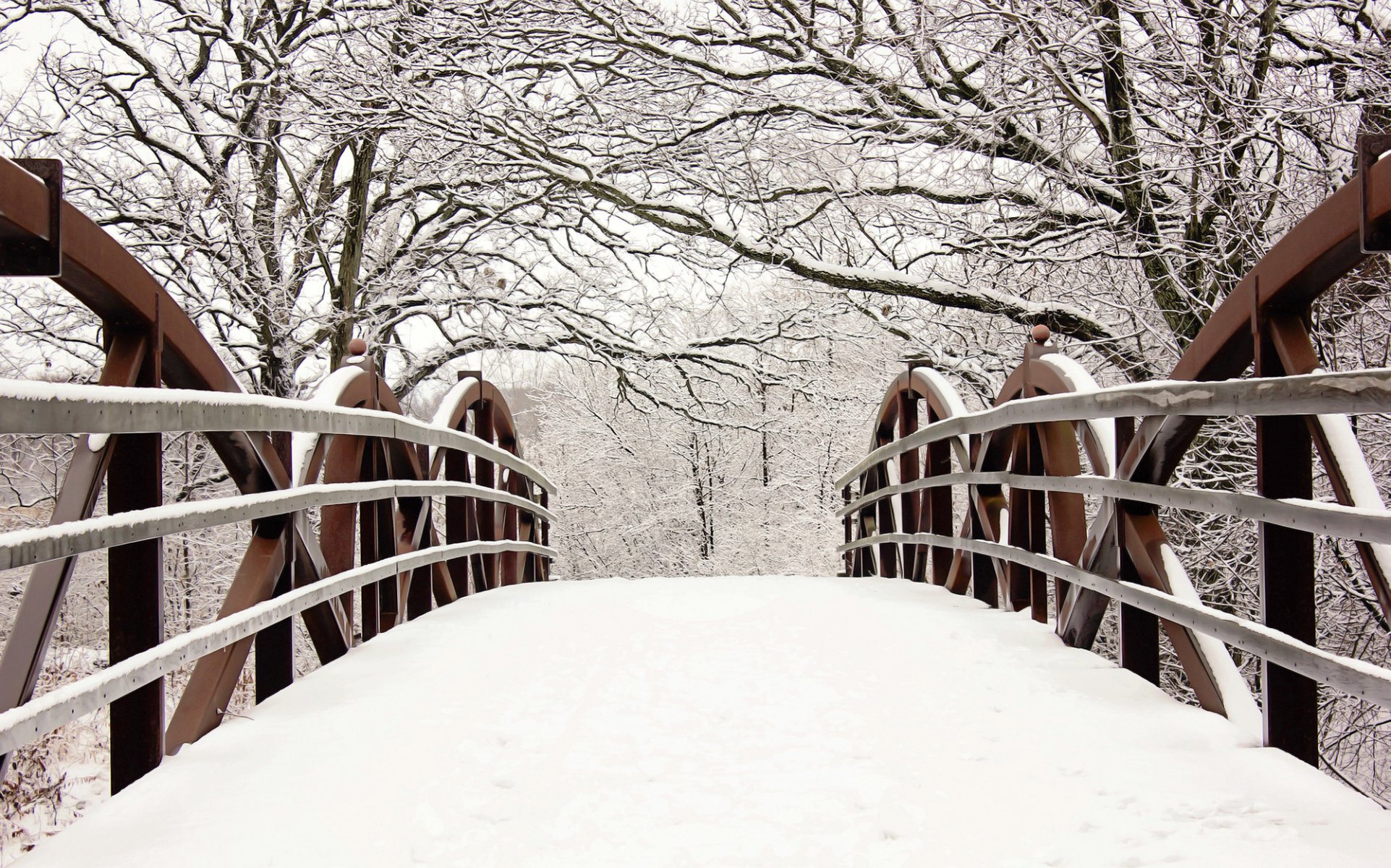 brücke zaun bäume zweige schnee winter natur