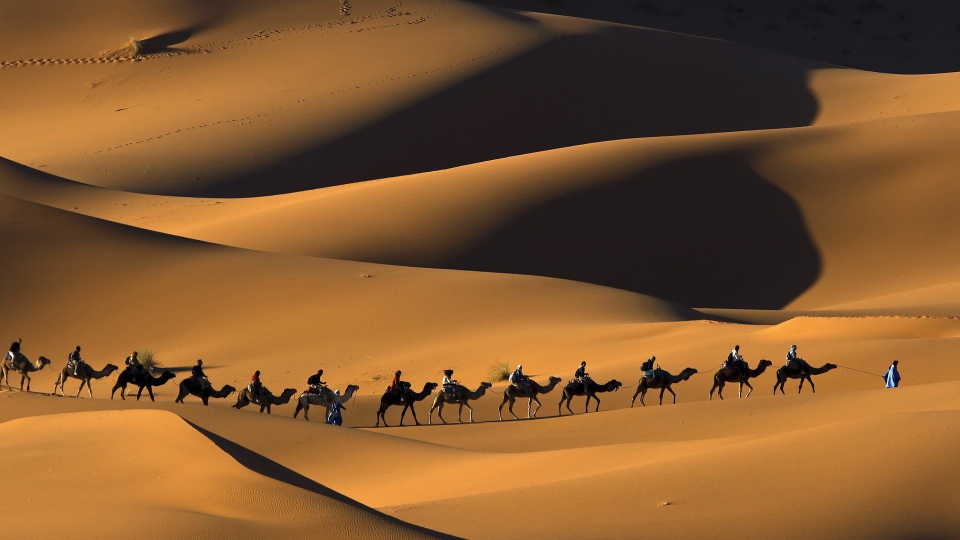 arenas naturaleza desierto camellos caravana sahara marruecos