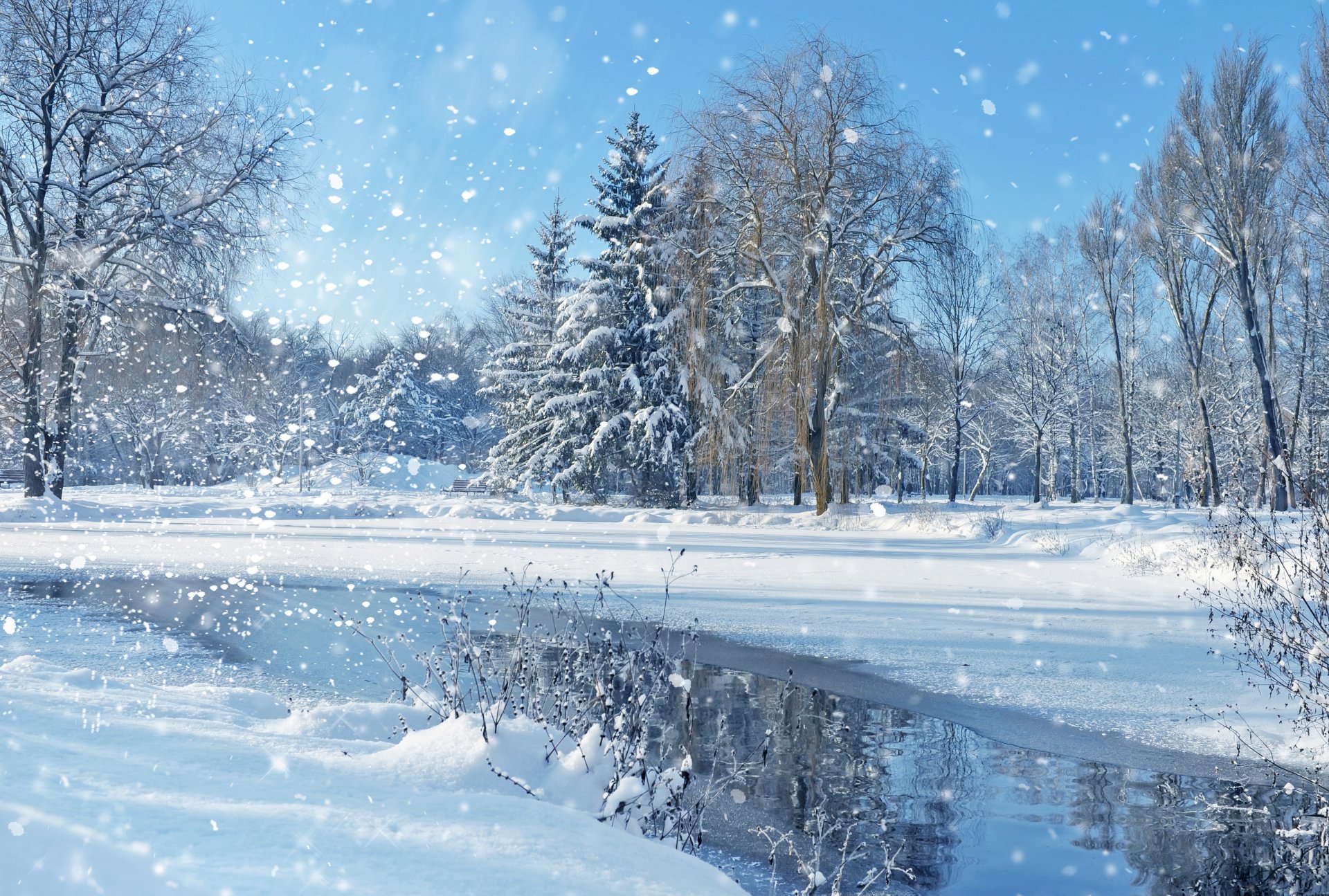 natura krajobraz niebo drzewa zima śnieg jezioro