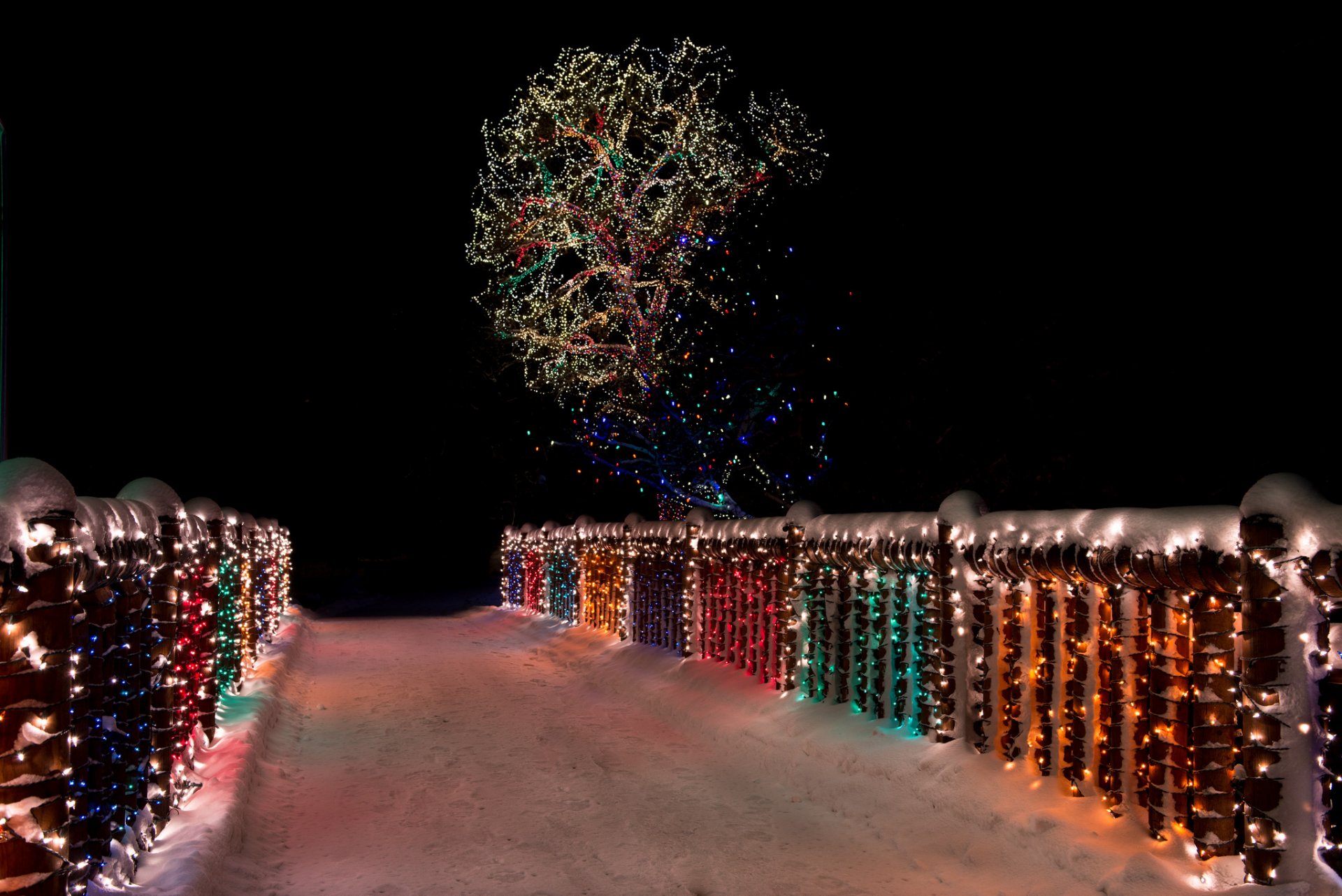 nacht brücke lichter baum schnee winter