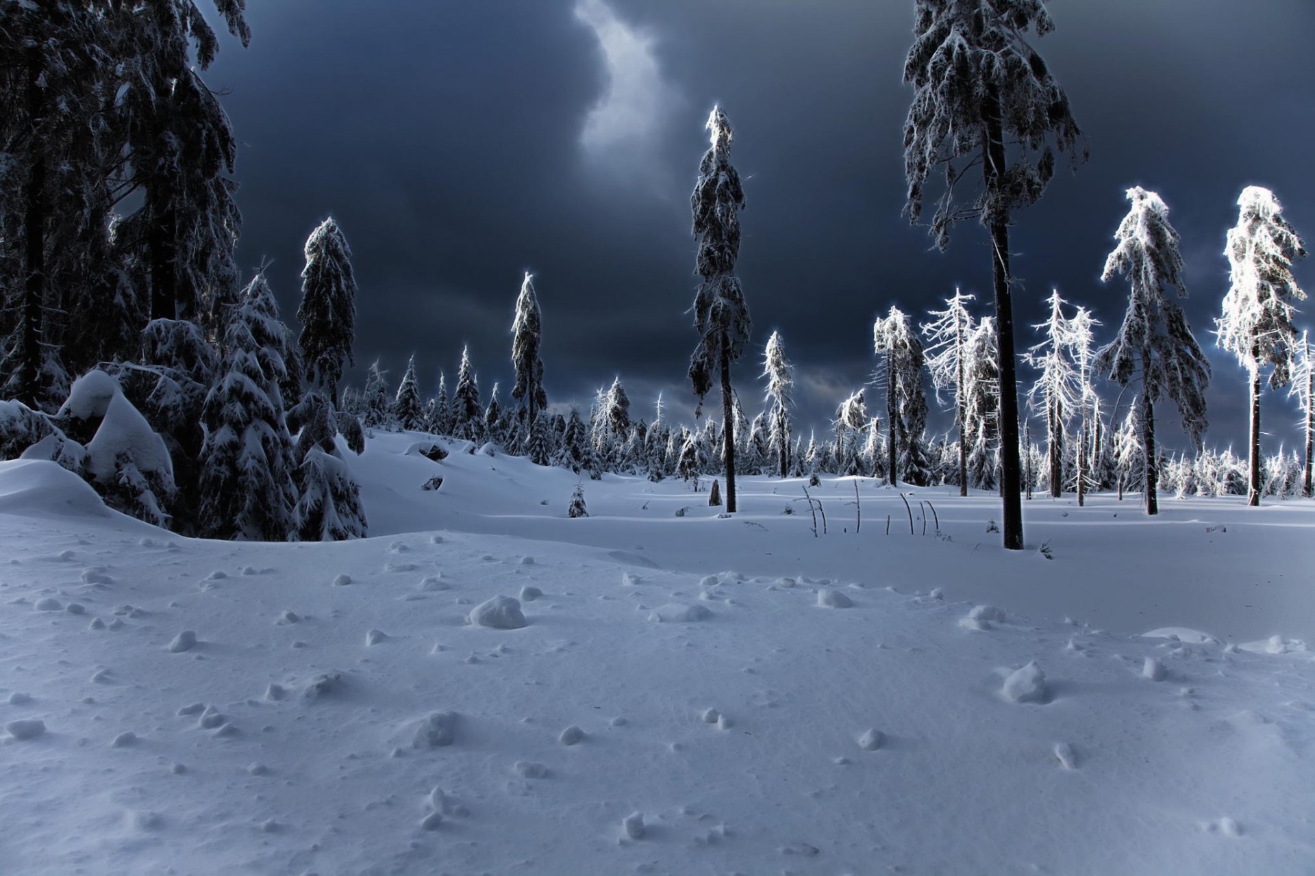 inverno apocalisse inverno neve cumuli di neve